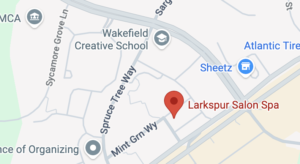 Google Map image showing Larkspur Salon Spa.